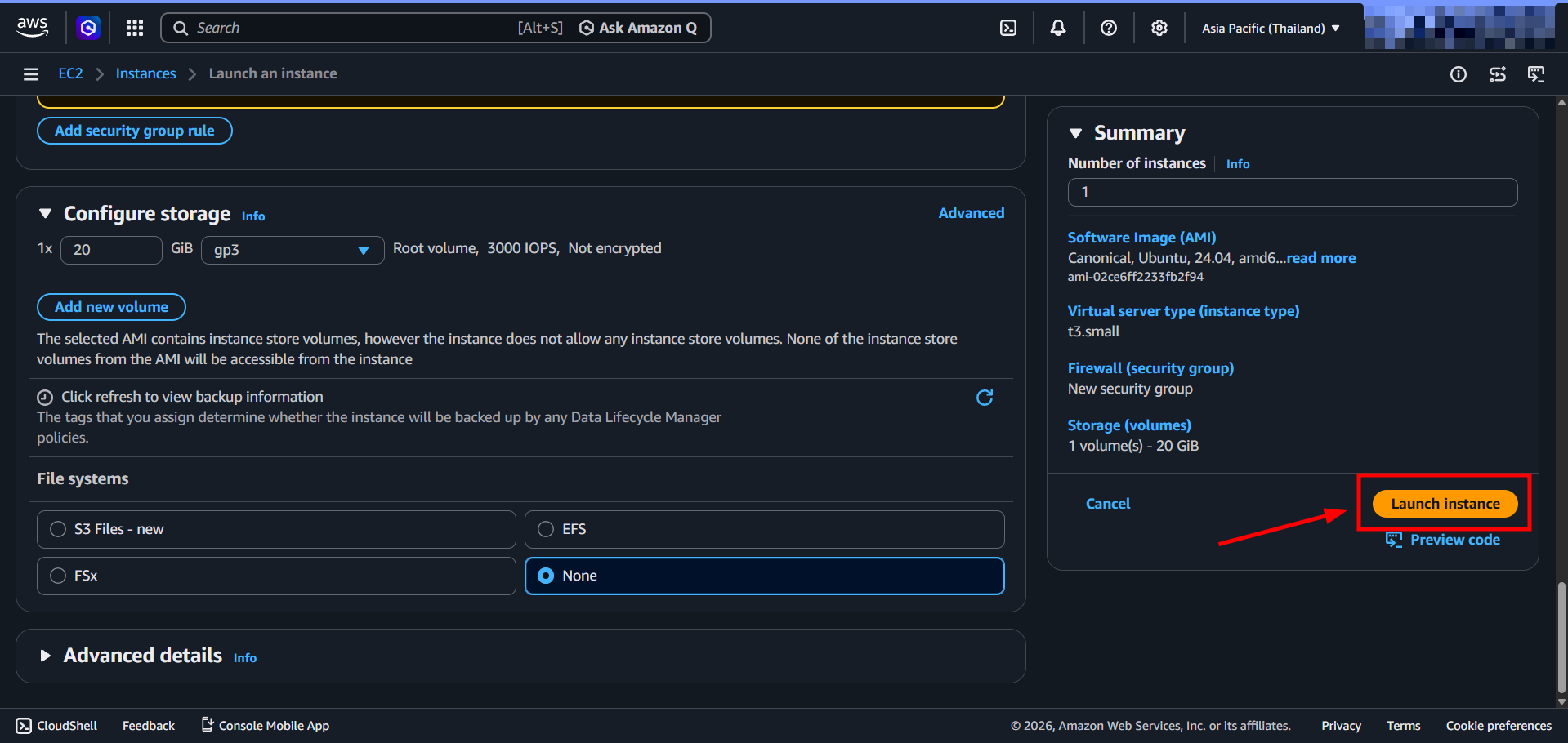 Launching the instance
