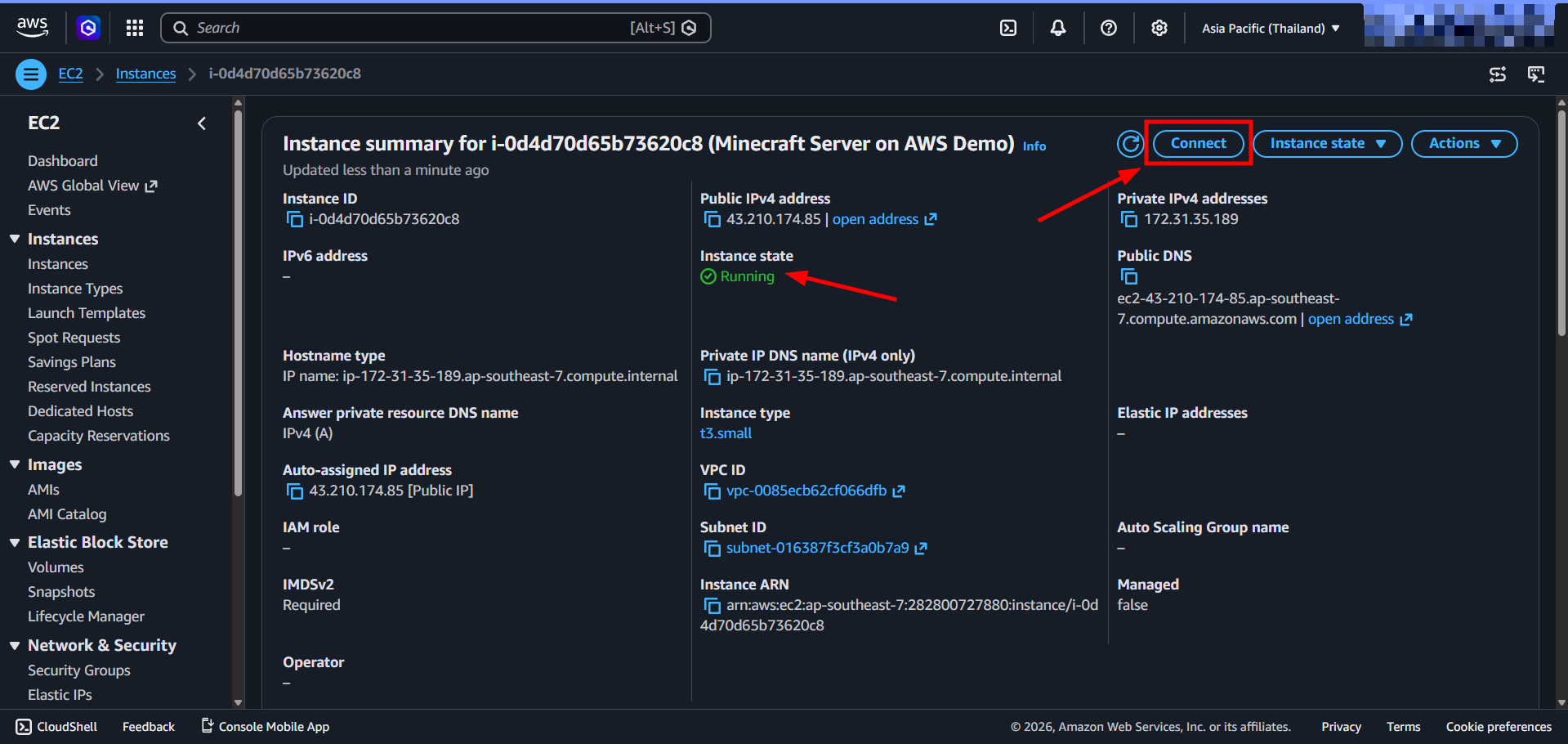 Running instance details