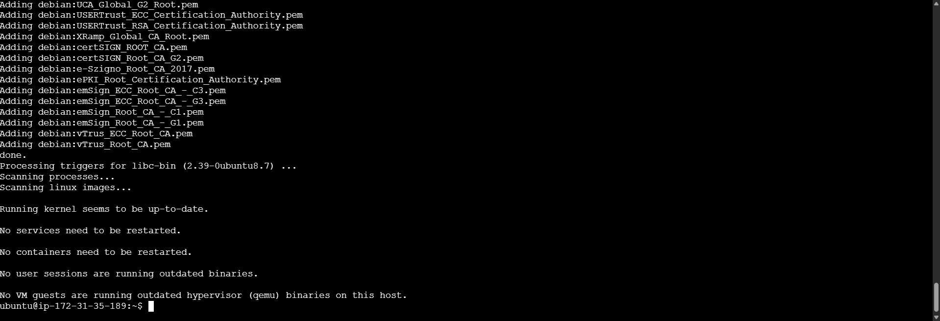 OpenJDK installation completed