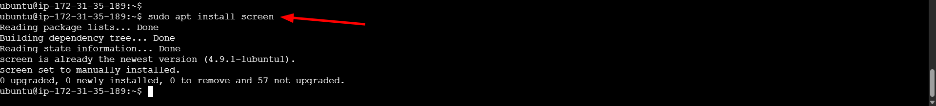 Installing Screen on AWS