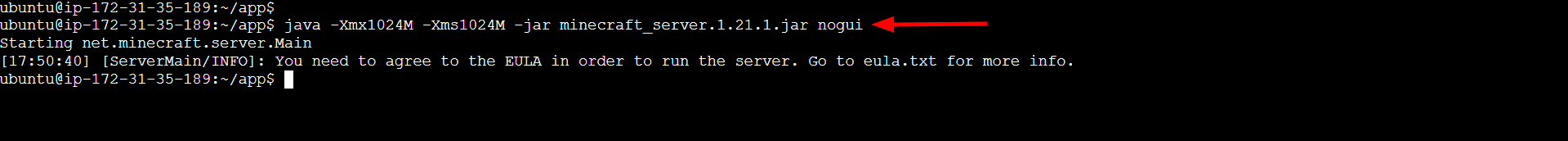 Minecraft server EULA error on AWS