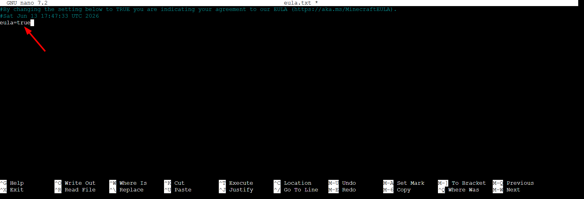 Editing EULA file on AWS