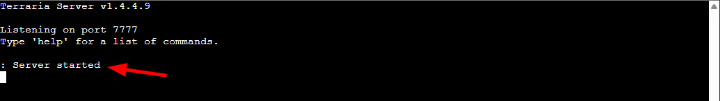 Terraria Server started