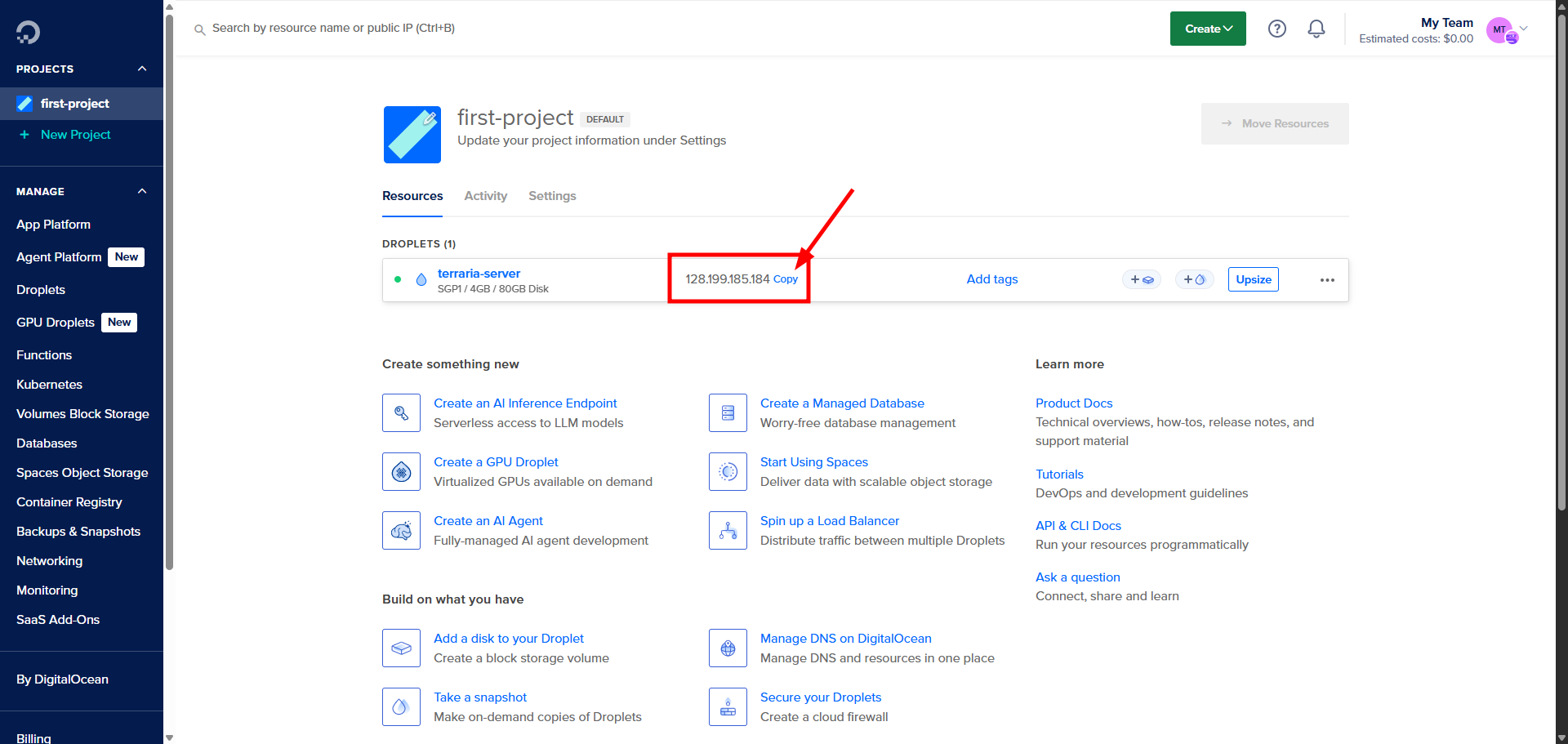 Droplet IP address in DigitalOcean