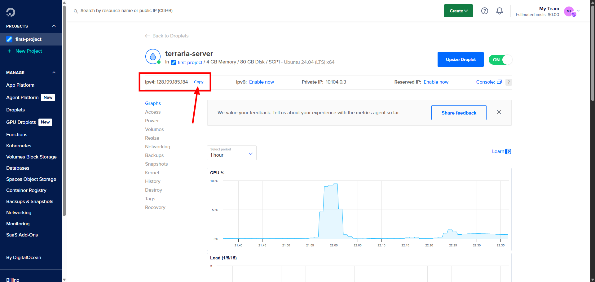 Droplet IP address in details page