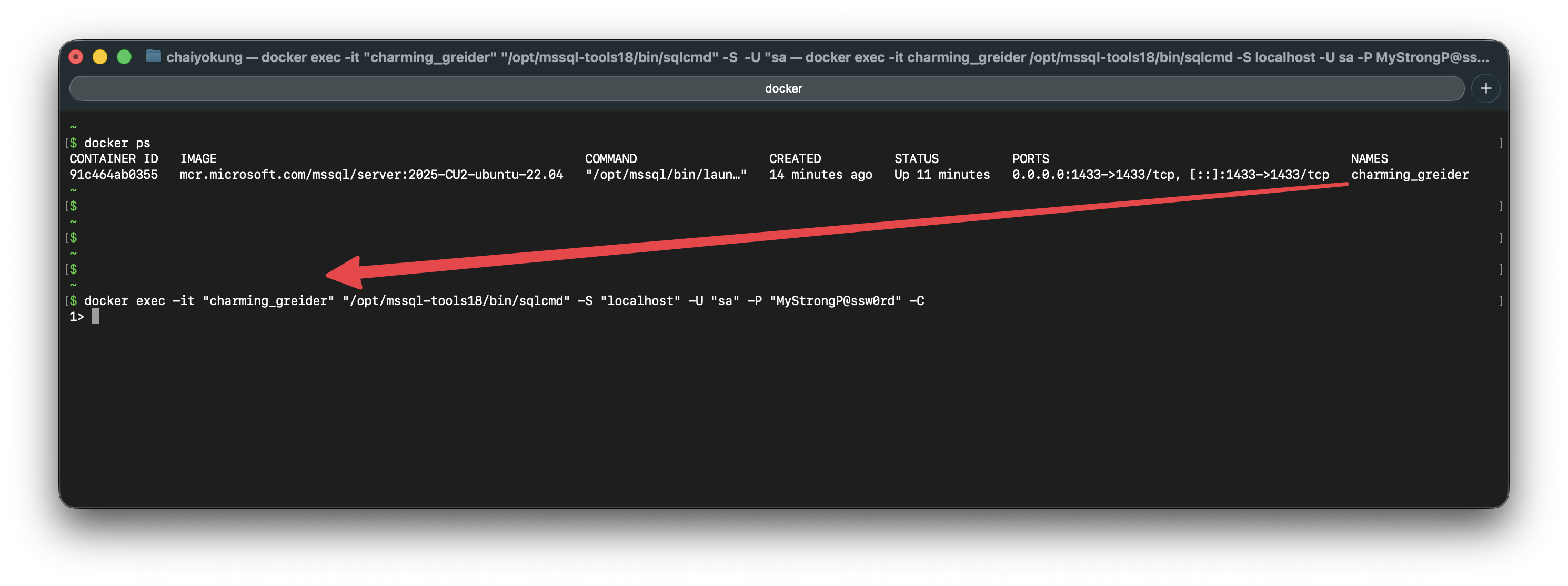 ตัวอย่างการเชื่อมต่อด้วย sqlcmd ใน Container