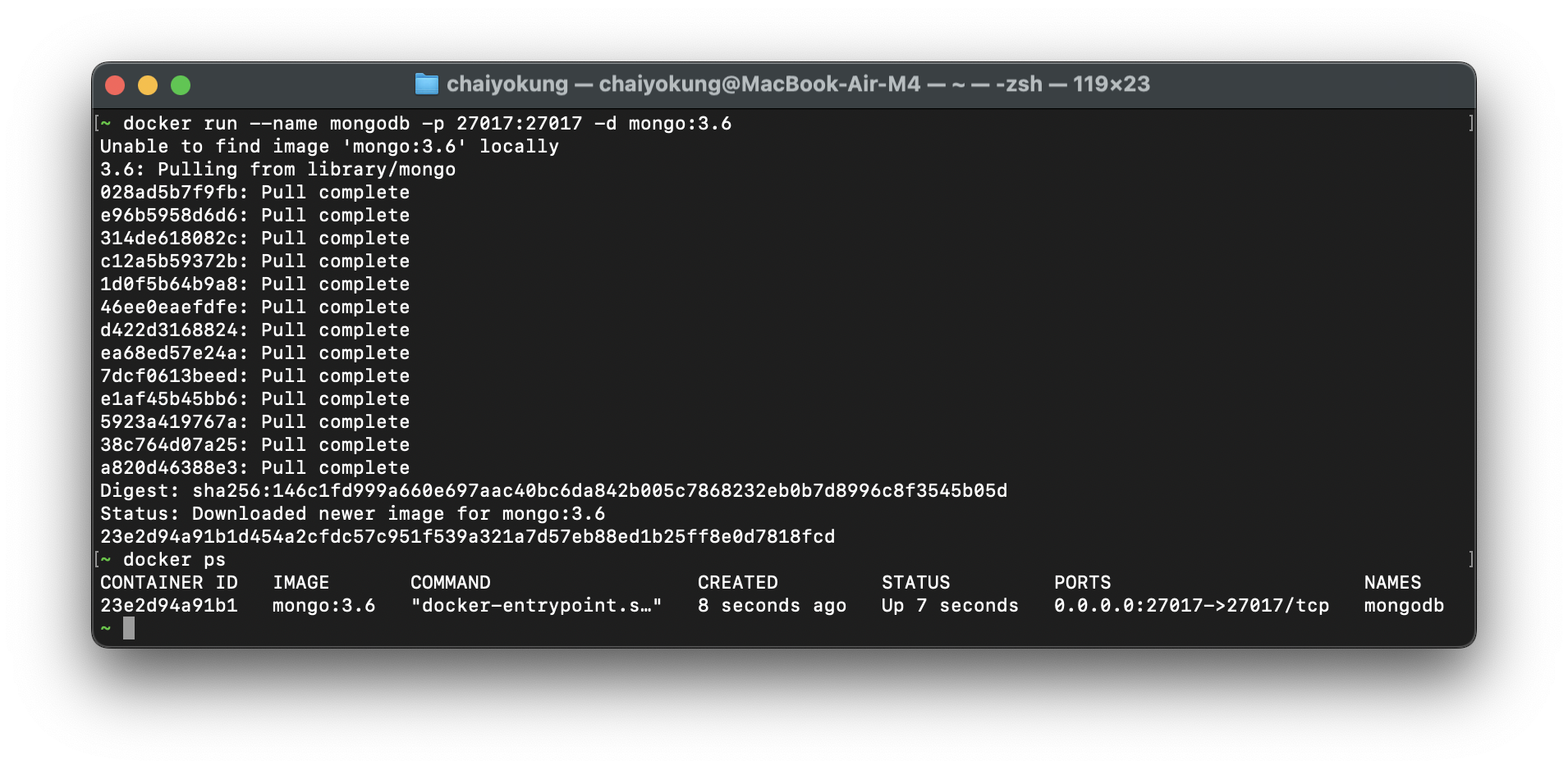 MongoDB Docker container running
